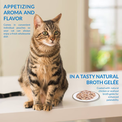 INABA Twin Packs Chicken Tuna, Chicken Scallop in Scallop Broth