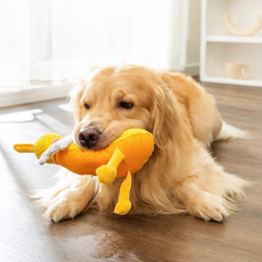 Teething Resistant Plush Sound Dog Toy