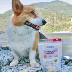 Wiggly Babies - Freeze Dried Wild Caught Rockfish