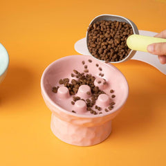 Pet Ceramic Bowl Elevated Raised and Tilted Slow Feeder
