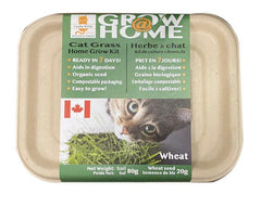 Lucky Kitty - Grow at Home Cat Grass WHEAT