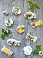 Big Country Raw - Silicone Treat Mold Large Orange