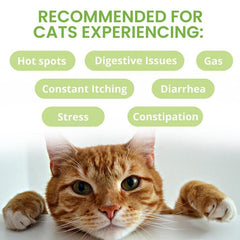 Under the Weather Ready Balance Probiotic Squeezable Gel For Cats 3.5oz