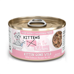Weruva Cats in the Kitchen Kitten Gone Wild 3oz