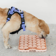 Dexypaws - Enrichment Snuffle Mat Square Blush Pink