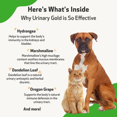 Pet Wellbeing - Urinary Gold