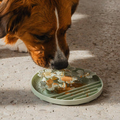 Dexypaws - Hide & Seek Slow Feeder Sage Green