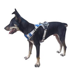 Dog Padded Vest Harness