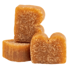 BIXBI - Pocket Trainers for Dogs - Salmon