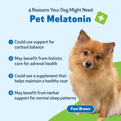Pet Wellbeing - Pet Melatonin