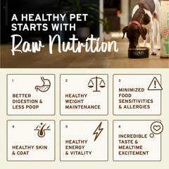 Primal Dog Freeze Dried Beef Nuggets