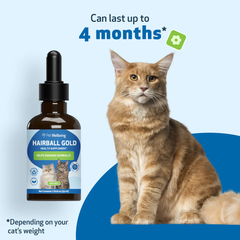 Pet Wellbeing - Hairball Gold for Cats