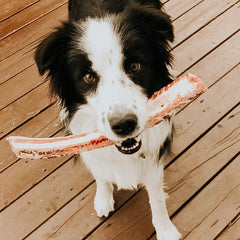 Faim Museau - Medium Beef Ribs