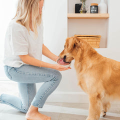 Faim Museau - Simply Chicken Frozen Raw Dog Food