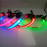 Pet Glowing LED Collar Charging