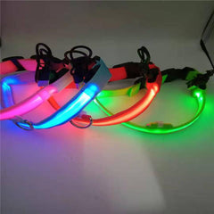 Pet Glowing LED Collar Charging