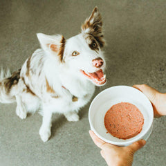 Faim Museau - Chicken & Cranberry Frozen Raw Dog Food