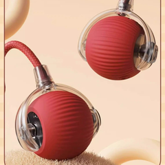 Pet Interactive Self Rolling Ball Toy with Fur Coat Rechargeable