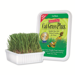 Miracle Care Cat A'Bout Cat Grass Plus - 150g