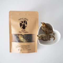 Grand Valley Quail - Dehydrated Quail Chicks