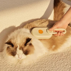 Pet Steam Massage Brush