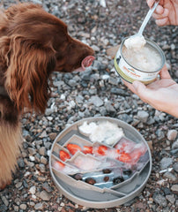 Messy Mutts - Mountain Scene 8" Silicone Therapeutic Lick Bowl-Interactive Feeder