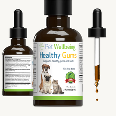 Pet Wellbeing - Healthy Gums