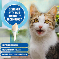 Bluestem Cat Oral Spray with Coactiv+ 60ml