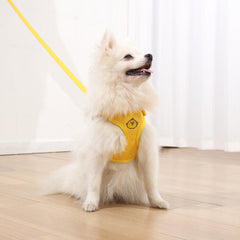 Pet Adjustable Harness Padded Vest with Leash Cartoon Face