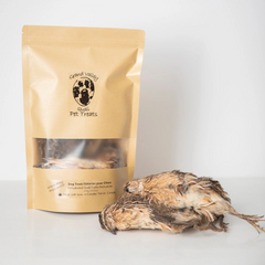 Grand Valley Quail - Dehydrated Adult Quail with Feathers