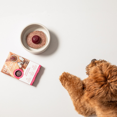 Faim Museau - Berry Delight