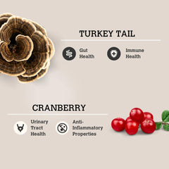 CHARMY PET Dog Turkey Tail & Cranberry Mushroom Bone Broth