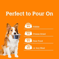 CHARMY PET Dog Lion’s Mane & Blueberry Mushroom Bone Broth