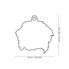 MyFamily - Bernese Mountain Dog