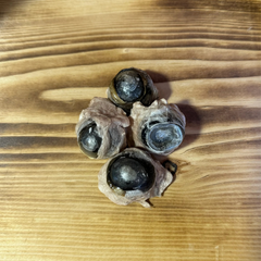 Grand Valley Quail - Freeze Dried Cow Eyeballs 4pc