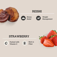 CHARMY PET Dog Reishi & Strawberry Mushroom Bone Broth