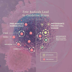 ADORED BEAST - Vital Defense | Cellular Support