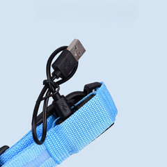 Pet Glowing LED Collar Charging
