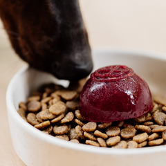 Faim Museau - Berry Delight