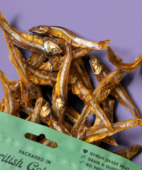 WILD VIBES Sun Dried Sardines 108g
