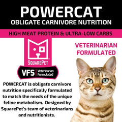 SquarePet VFS Cat POWERCAT Herring & Salmon for Cats