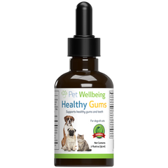 Pet Wellbeing - Healthy Gums