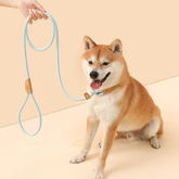 Pet Adjustable Slip Lead Heavy Duty Durable Loop Leash