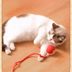 Pet Interactive Self Rolling Ball Toy with Fur Coat Rechargeable