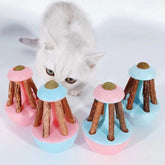 Catnip Wooden Polygonum Tumbler Interactive Cat Toy