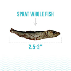Icelandic+ Cat Sprat Whole Fish 0.85oz