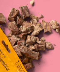 WILD VIBES Lamb Heart and Bone Broth 80g