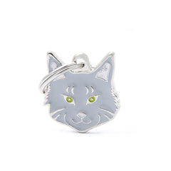 MyFamily - Silver Tabby Maine Coon