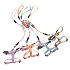 Hoopet Pet Adjustable Harness H Shaped with Leash and Collar