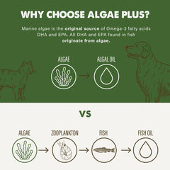 Grizzly Algal Plus Oil Liquid Supplement